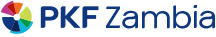 Footer logo 